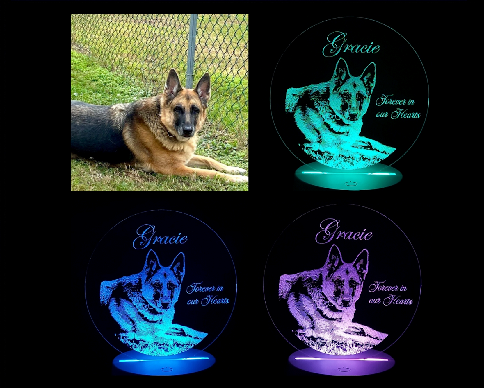 CustomDogGraceCollage